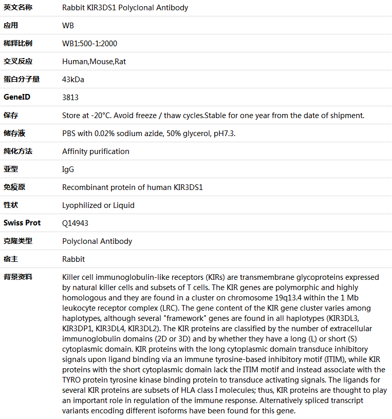 KIR3DS1 Antibody,索莱宝,K006118P-50ul