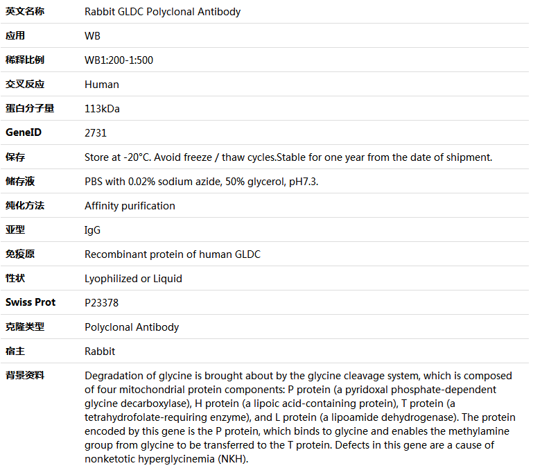 GLDC Antibody,索莱宝,K006116P-100ul