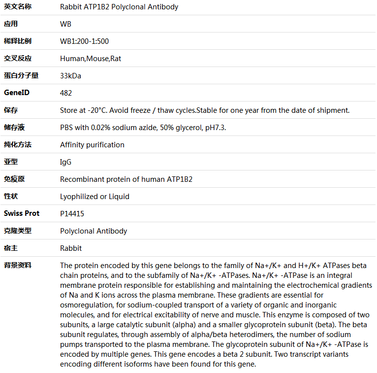 ATP1B2 Antibody,索莱宝,K006113P-100ul