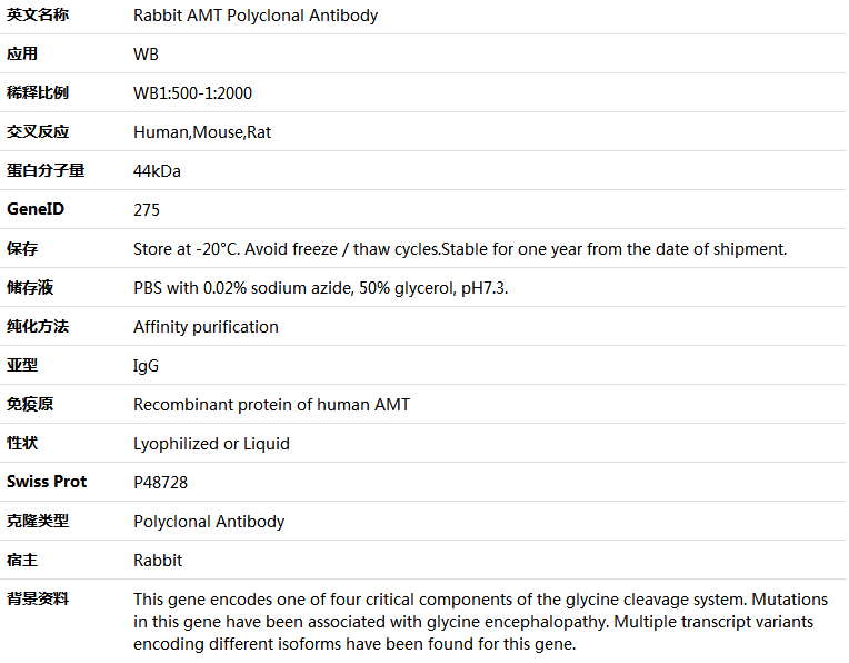 AMT Antibody,索莱宝,K006112P-50ul