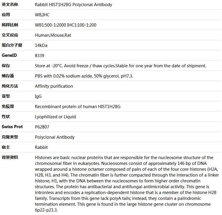 HIST1H2BG Antibody,索莱宝,K006110P-100ul