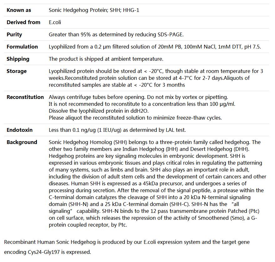Recombinant Human Sonic Hedgehog/Shh,索莱宝,P00068-500ug