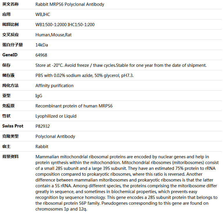 MRPS6 Antibody,索莱宝,K006104P-100ul