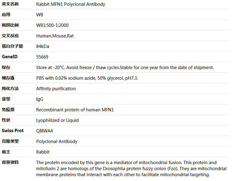 MFN1 Antibody,索莱宝,K006100P-100ul