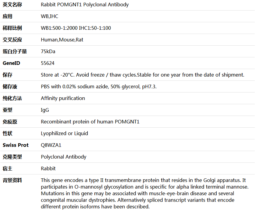 POMGNT1 Antibody,索莱宝,K006099P-100ul
