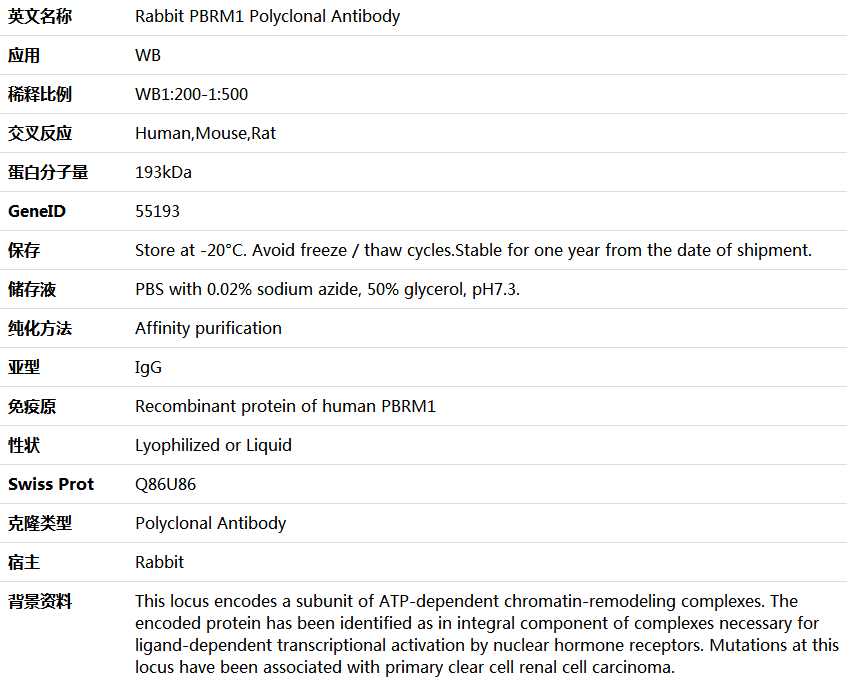 PBRM1 Antibody,索莱宝,K006098P-50ul