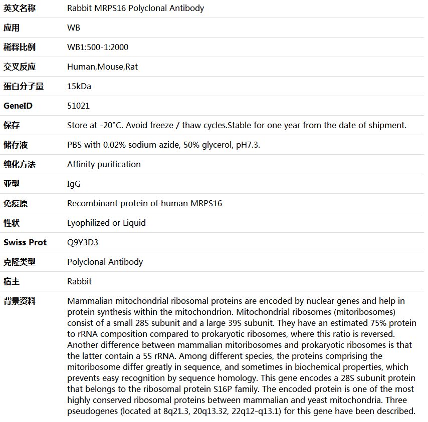 MRPS16 Antibody,索莱宝,K006096P-100ul