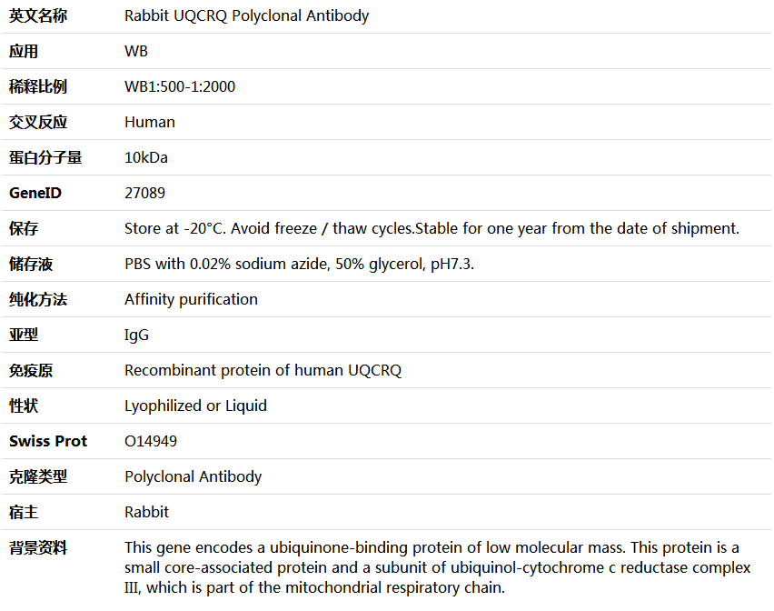 UQCRQ Antibody,索莱宝,K006095P-100ul