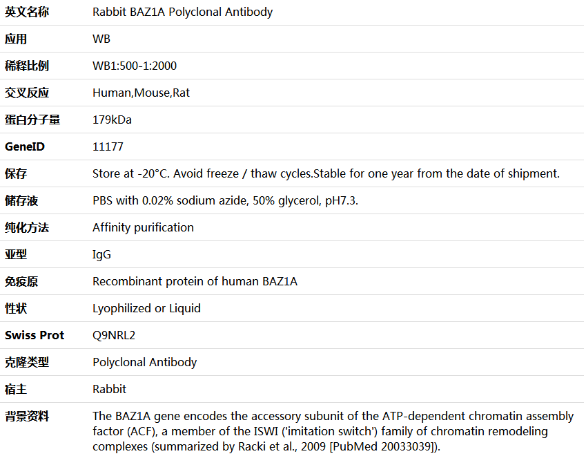 BAZ1A Antibody,索莱宝,K006093P-50ul