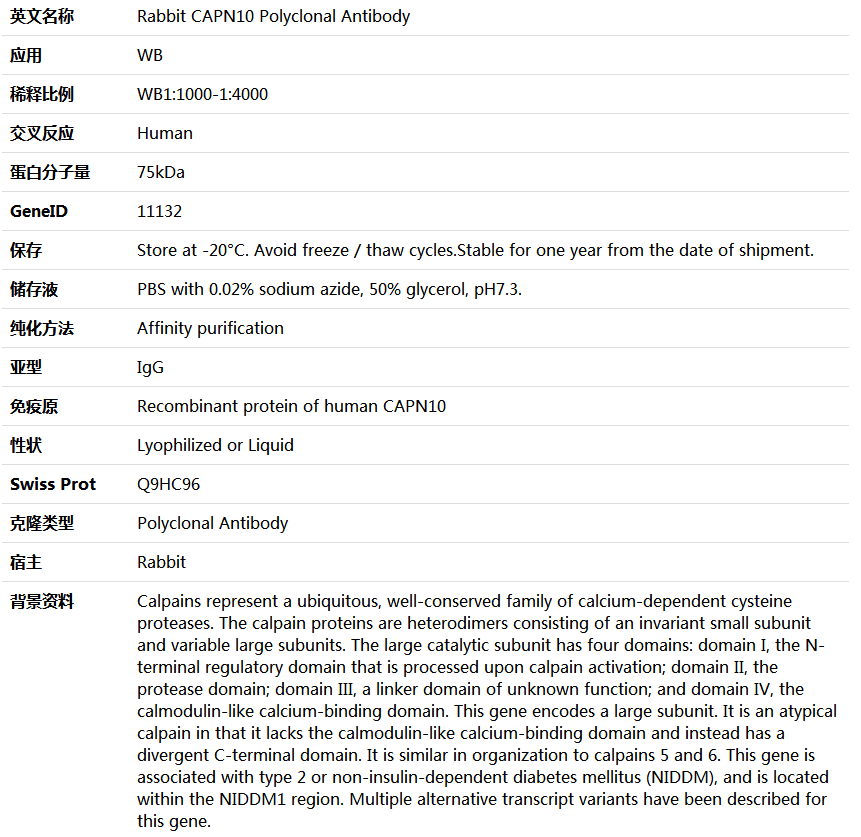 CAPN10 Antibody,索莱宝,K006092P-100ul