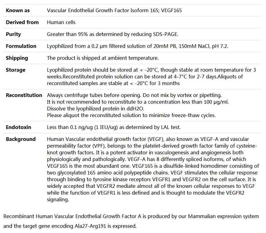 Recombinant Human VEGF165/VEGFA,索莱宝,P00063-1mg
