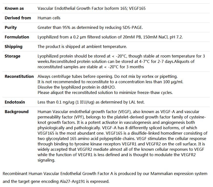 Recombinant Human VEGF165/VEGFA,索莱宝,P00063-10ug