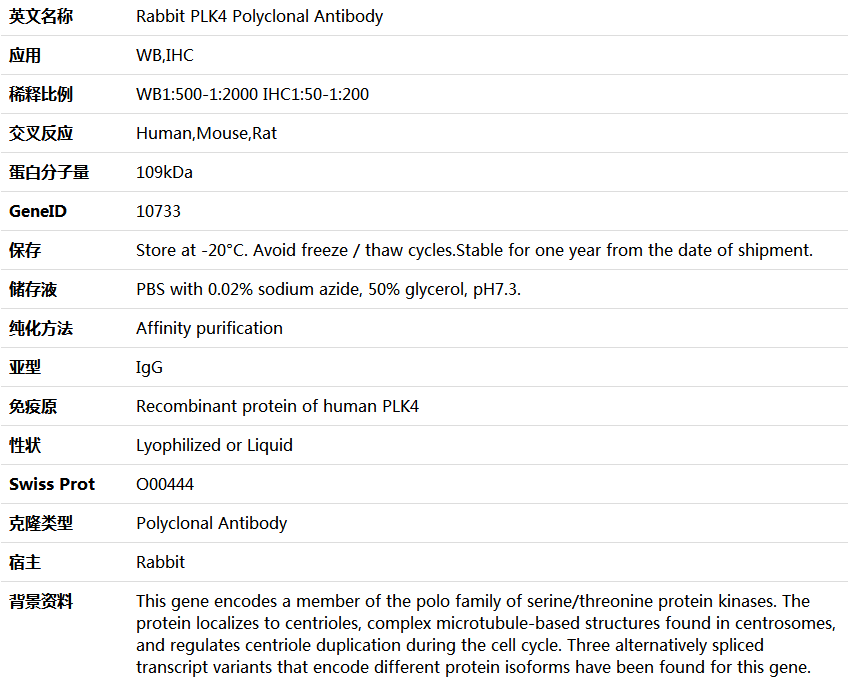 PLK4 Antibody,索莱宝,K006091P-50ul