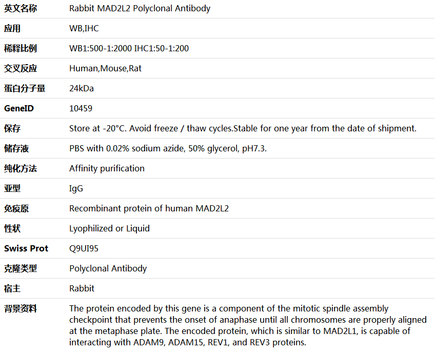 MAD2L2 Antibody,索莱宝,K006090P-50ul