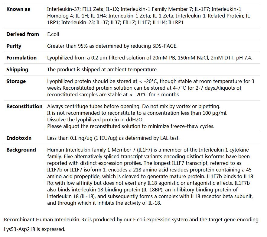 Recombinant Human Interleukin-37/Il-37,索莱宝,P00060-500ug