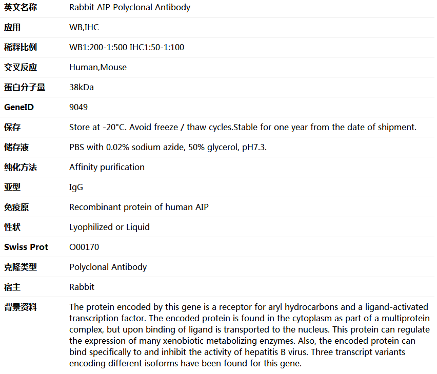 AIP Antibody,索莱宝,K006085P-100ul