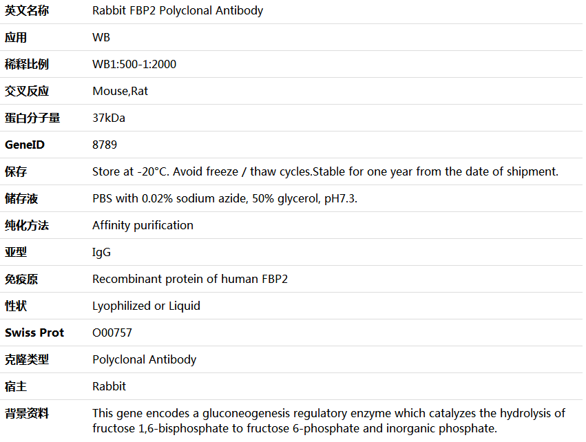 FBP2 Antibody,索莱宝,K006083P-100ul