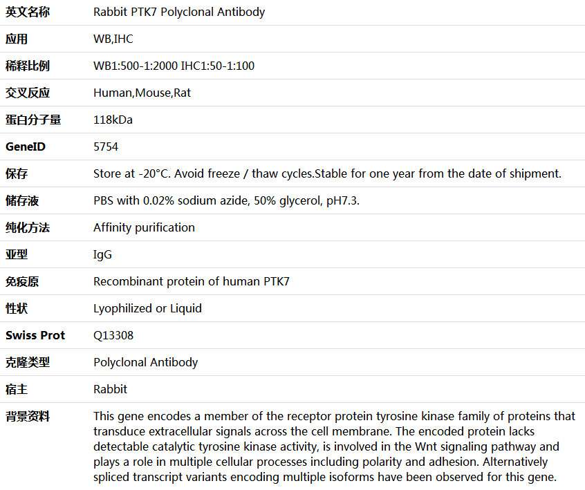 PTK7 Antibody,索莱宝,K006079P-100ul