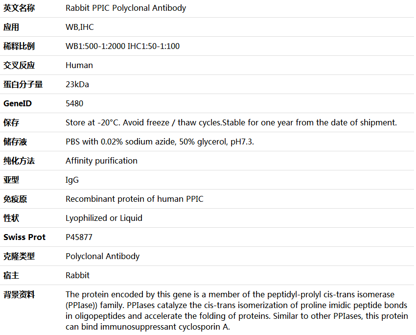 PPIC Antibody,索莱宝,K006078P-100ul