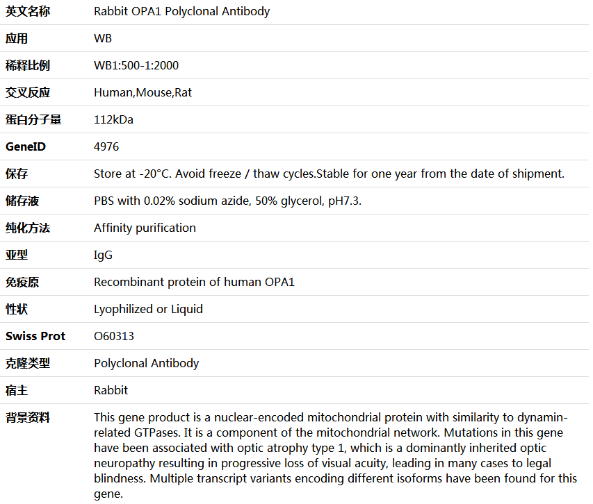 OPA1 Antibody,索莱宝,K006076P-100ul
