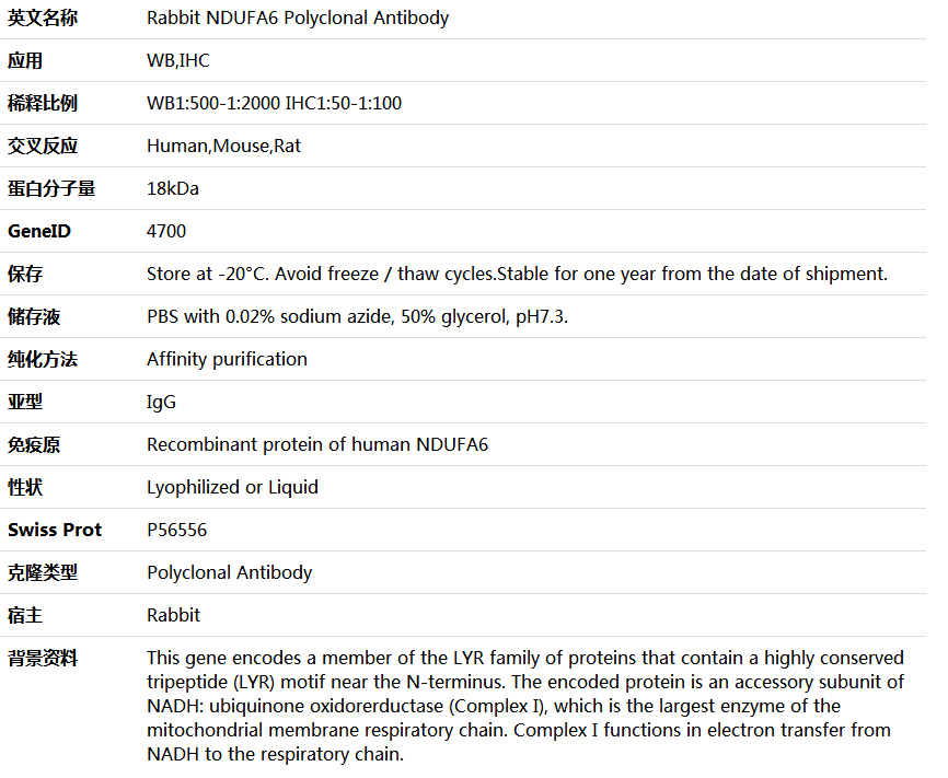 NDUFA6 Antibody,索莱宝,K006074P-50ul