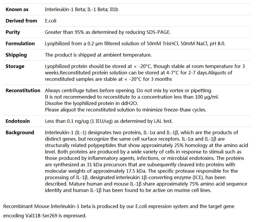 Recombinant Mouse IL-1F2/IL-1b,索莱宝,P00052-50ug
