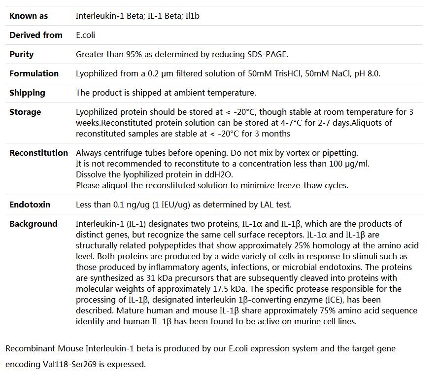 Recombinant Mouse IL-1F2/IL-1b,索莱宝,P00052-500ug