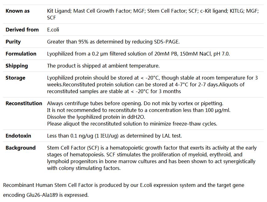 Recombinant Human c-kit Ligand/SCF/KITLG,索莱宝,P00051-10ug