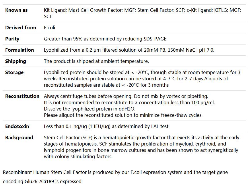 Recombinant Human c-kit Ligand/SCF/KITLG,索莱宝,P00051-1mg