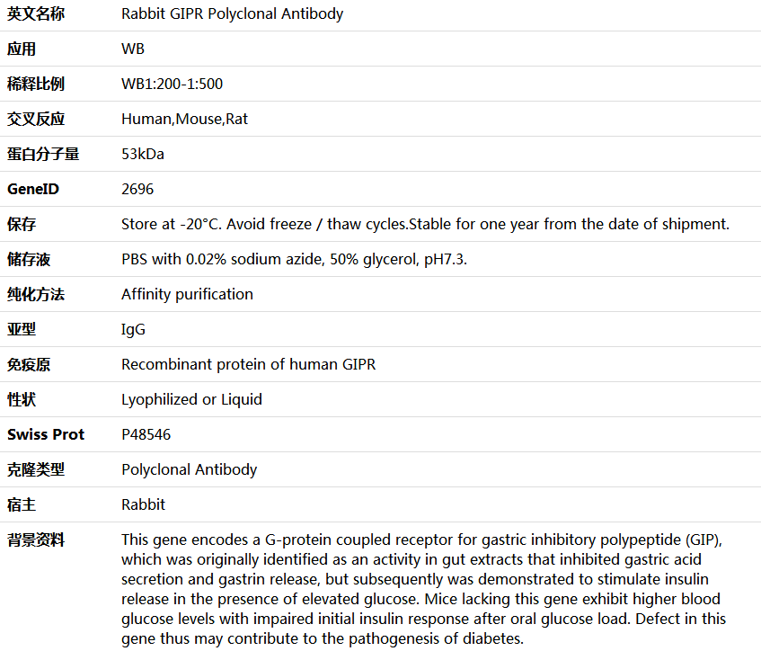GIPR Antibody,索莱宝,K006064P-100ul