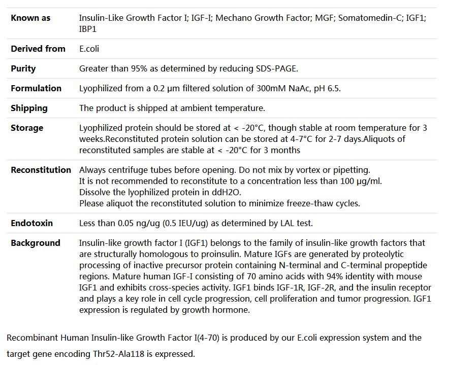 Recombinant Human IGF1,索莱宝,P00048-10ug