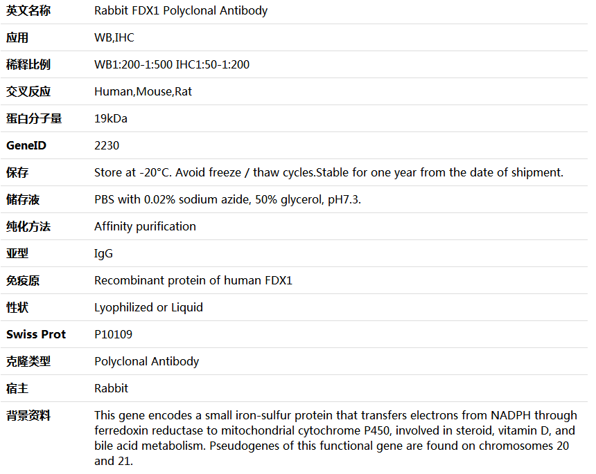 FDX1 Antibody,索莱宝,K006063P-50ul