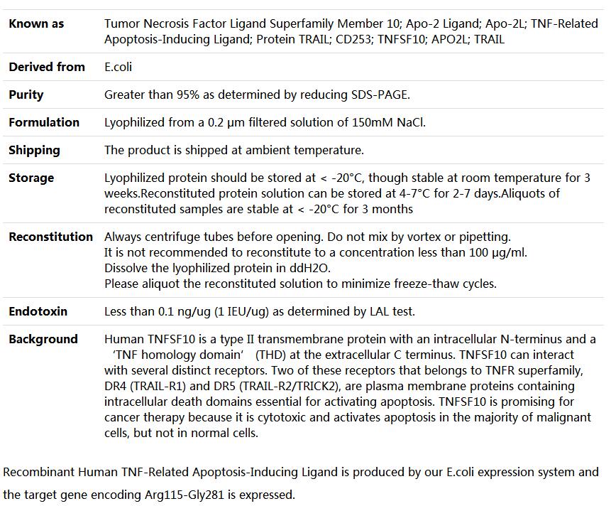 Recombinant Human TNFSF10/TRAIL/APO-2L,索莱宝,P00045-50ug