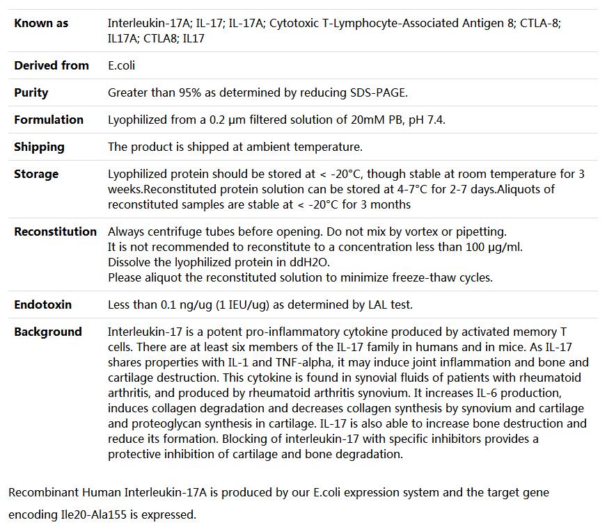 Recombinant Human IL-17/IL-17A,索莱宝,P00044-1mg