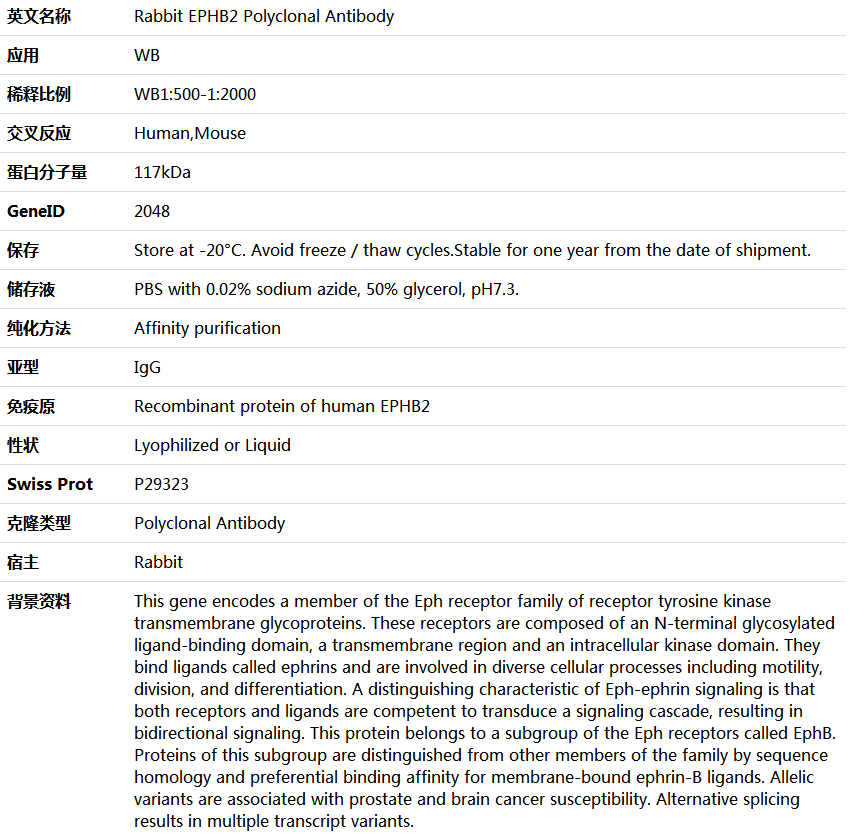 EPHB2 Antibody,索莱宝,K006061P-100ul