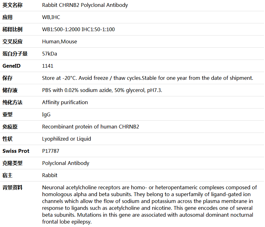 CHRNB2 Antibody,索莱宝,K006057P-100ul