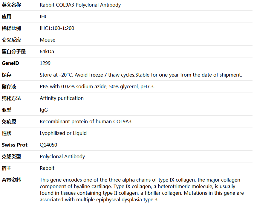 COL9A3 Antibody,索莱宝,K006052P-100ul