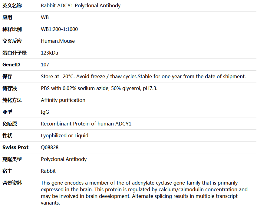 ADCY1 Antibody,索莱宝,K006051P-50ul