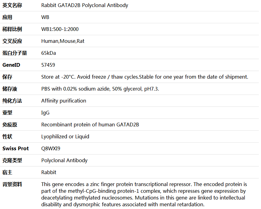 GATAD2B Antibody,索莱宝,K006050P-100ul