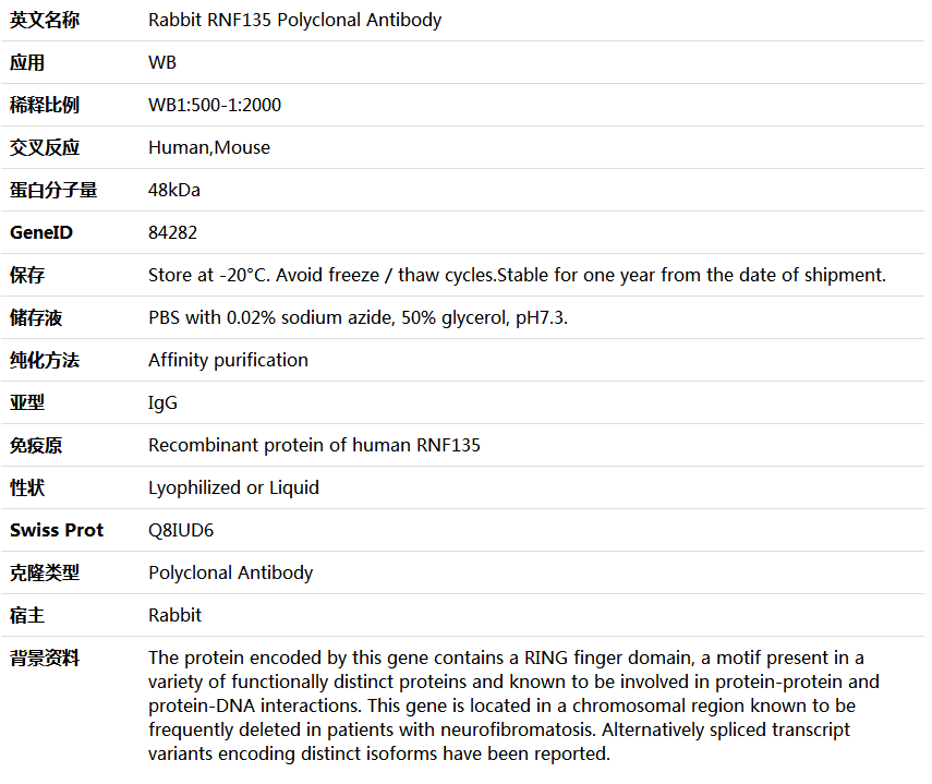 RNF135 Antibody,索莱宝,K006046P-100ul