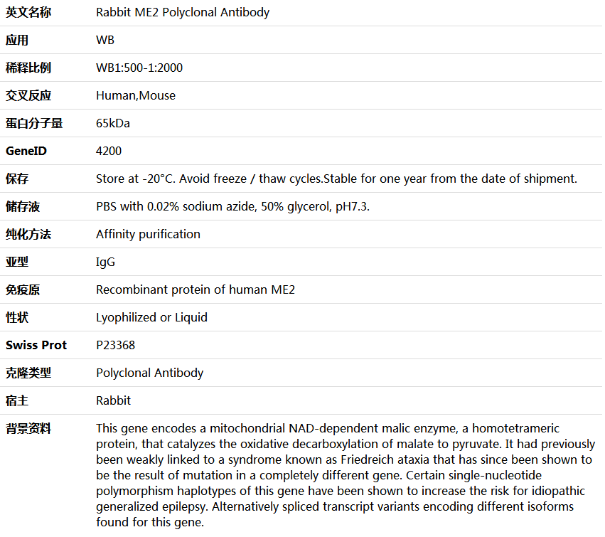 ME2 Antibody,索莱宝,K006045P-50ul