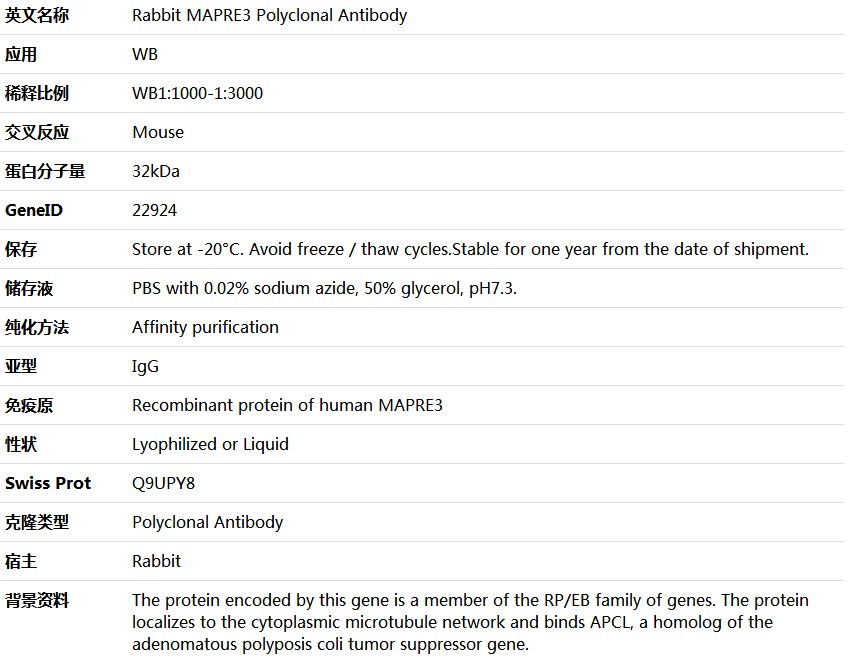 MAPRE3 Antibody,索莱宝,K006043P-100ul
