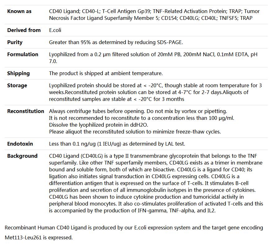 Recombinant Human CD40 Ligand/TNFSF5,索莱宝,P00039-1mg