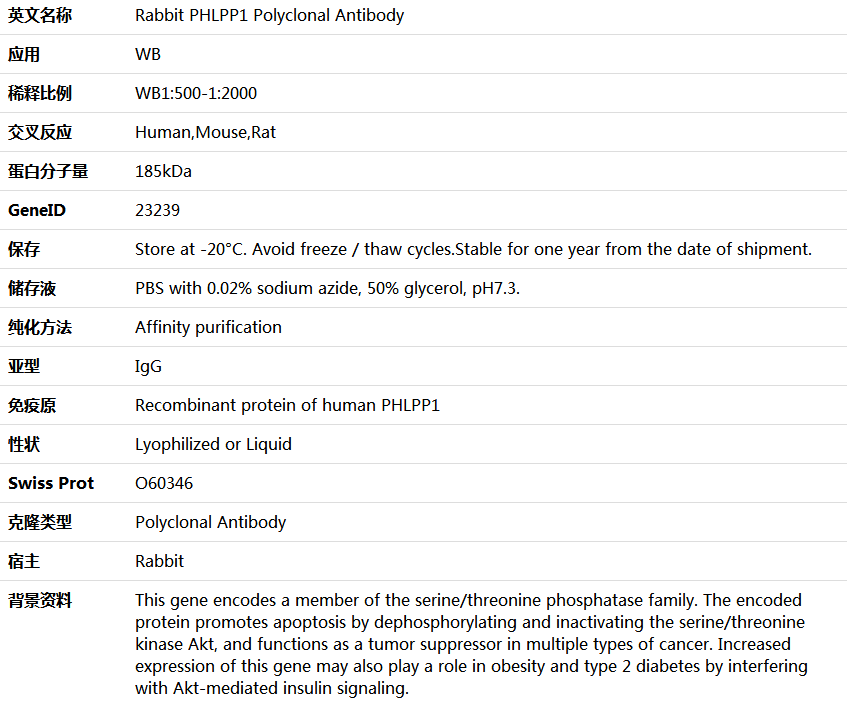 PHLPP1 Antibody,索莱宝,K006039P-50ul