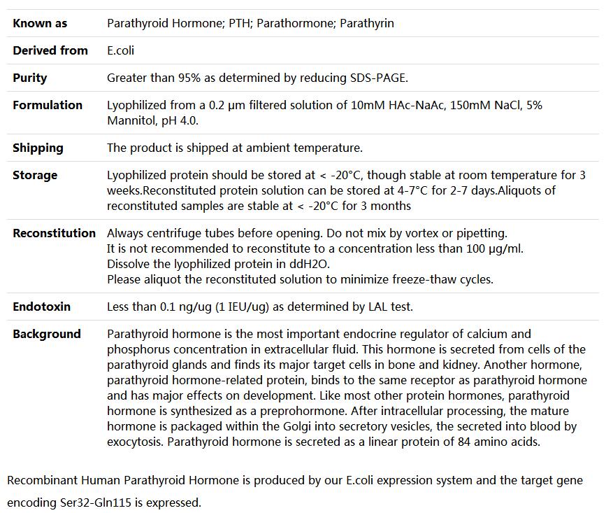 Recombinant Human PTH 1-84/Parathyroid hormone/Parathormone,索莱宝,P00038-1mg