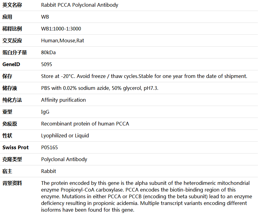 PCCA Antibody,索莱宝,K006034P-50ul