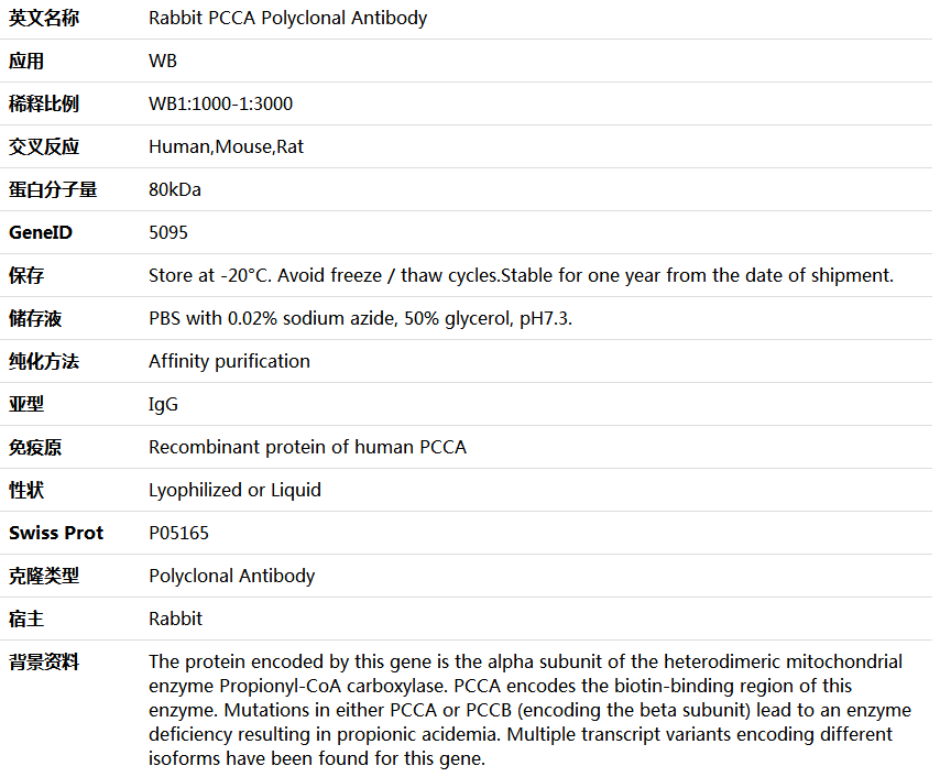 PCCA Antibody,索莱宝,K006034P-100ul