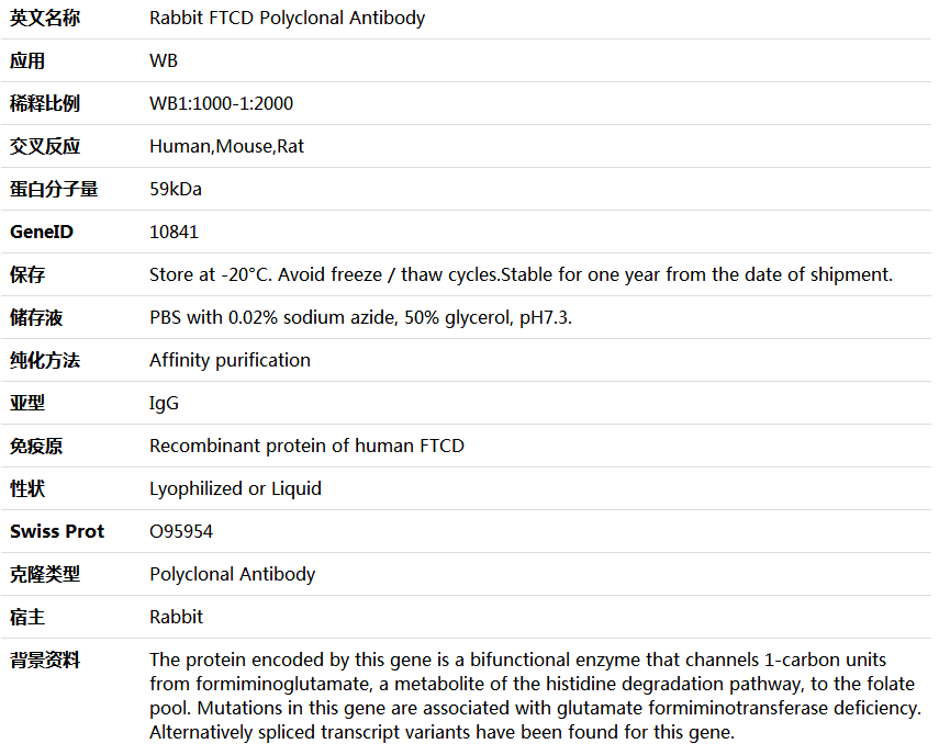 FTCD Antibody,索莱宝,K006033P-100ul