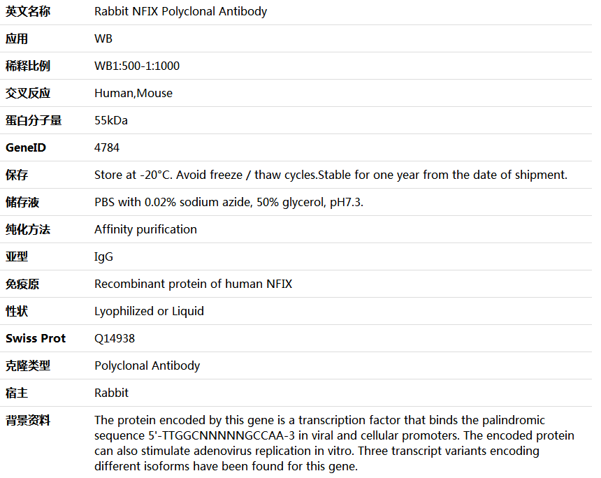 NFIX Antibody,索莱宝,K006029P-50ul
