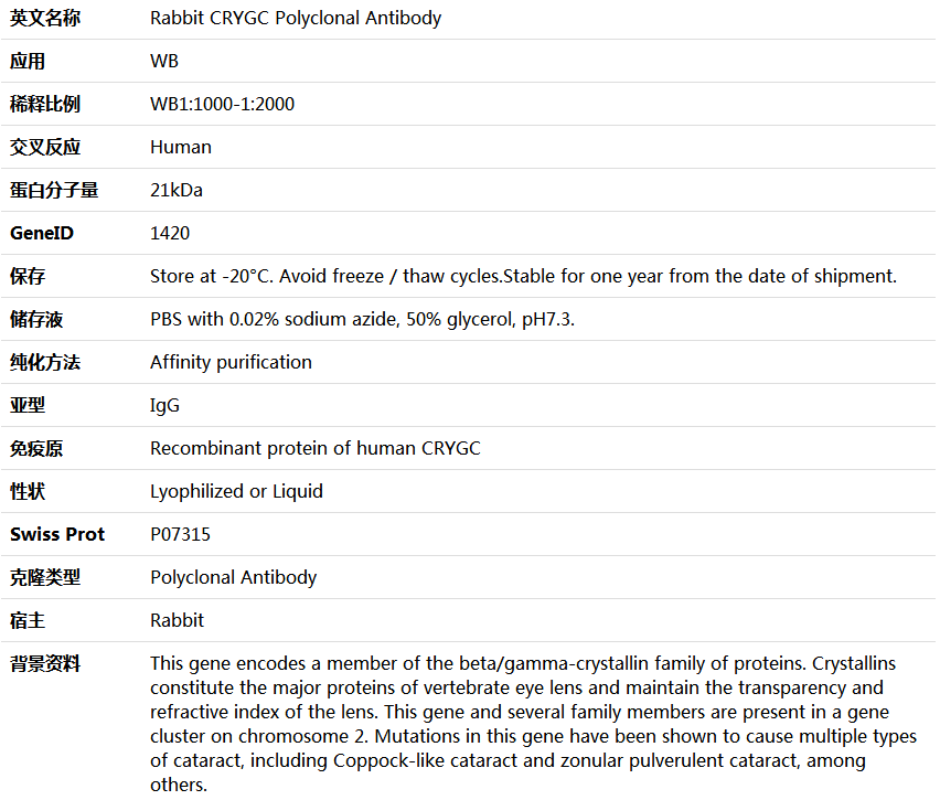 CRYGC Antibody,索莱宝,K006025P-50ul